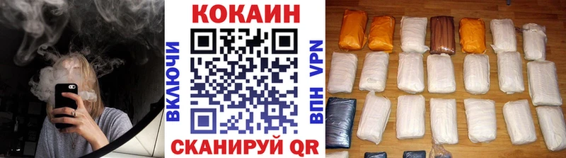 Cocaine Fish Scale  Купить закладки  Дубовка 