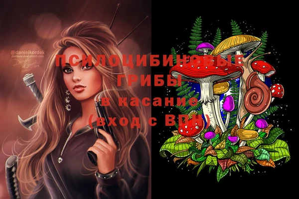 спайс Надым
