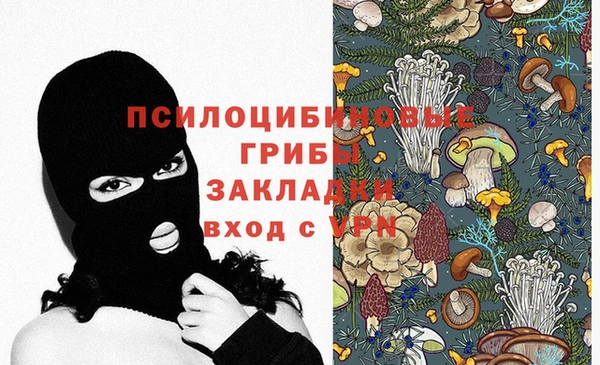 спайс Надым