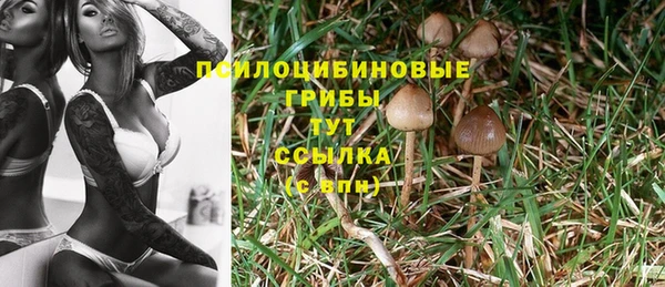 спайс Надым