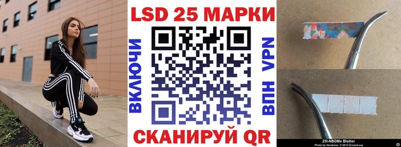 Купить  Дубовка  Марки N-bome 1,8мг 