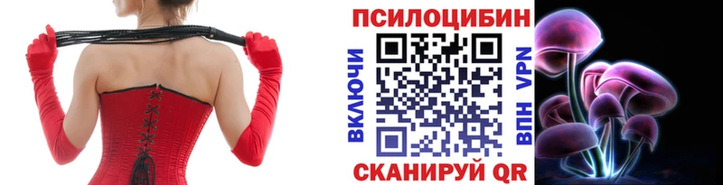 Купить  Дубовка  Псилоцибиновые грибы Magic Shrooms 
